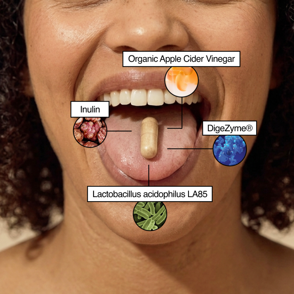 What is inside Margaret: apple cider vinegar, inulin, DigeZyme enzymes and a probiotic