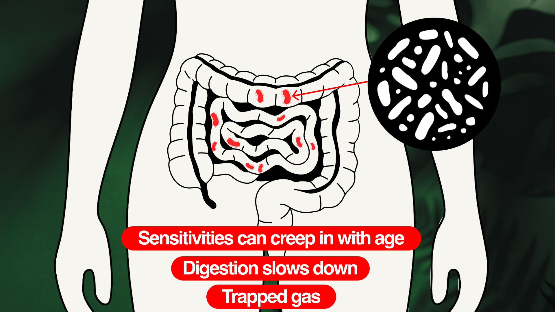 Why your gut handles food differently with age